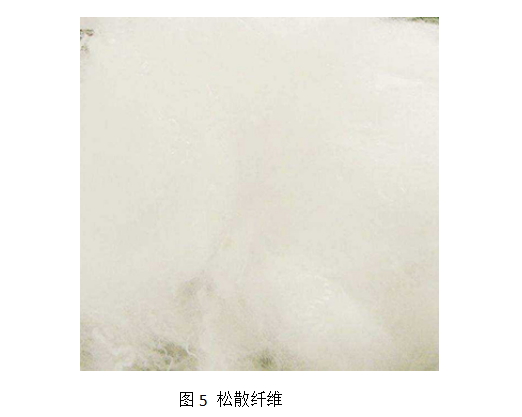 好博体育科技