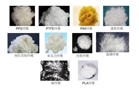 好博体育科技