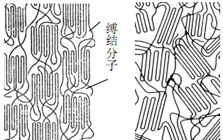 好博体育科技