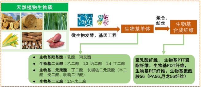 好博体育科技