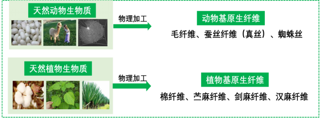 好博体育科技