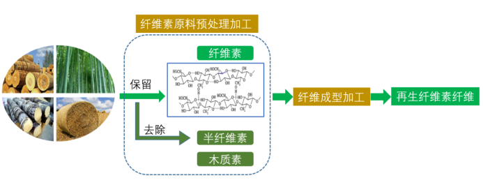好博体育科技