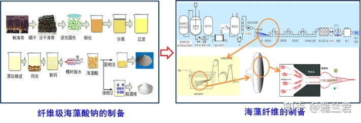 好博体育科技