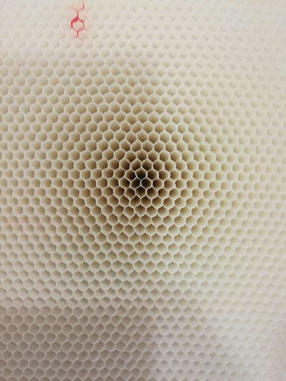 好博体育科技