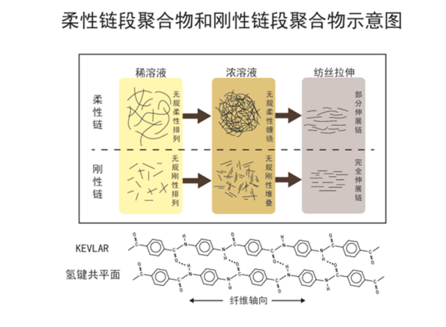 好博体育科技