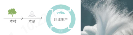 好博体育科技